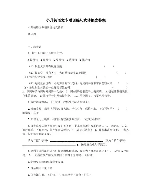 小升初语文专项训练句式转换含答案