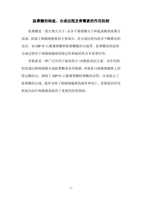 肽聚糖的构造、合成过程及青霉素的作用机制