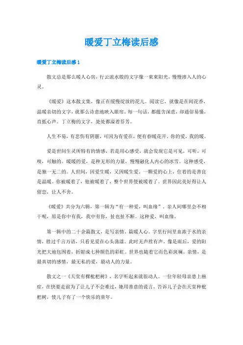 暖爱丁立梅读后感