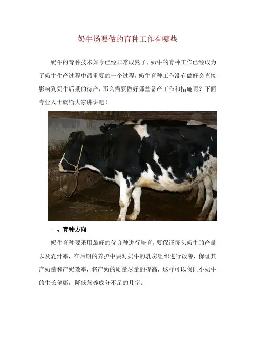 奶牛场要做的育种工作有哪些