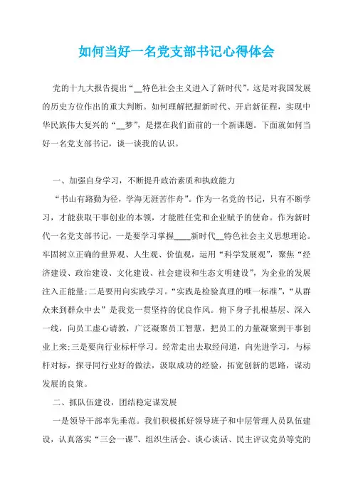 如何当好一名党支部书记心得体会