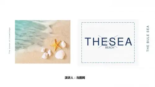 蓝色海洋简易风述职报告PPT模板