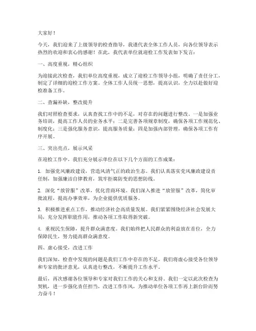 领导迎检发言稿