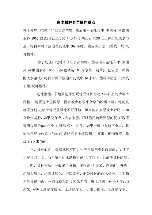 白术播种育苗操作重点