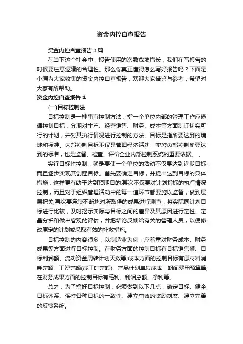 资金内控自查报告