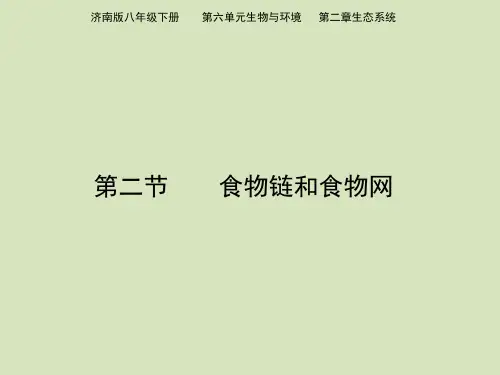 2018济南版生物八年级下册6.2.2《食物链和食物网》ppt课件2
