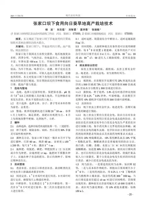 张家口坝下食用向日葵旱地高产栽培技术