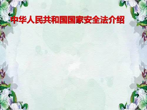 国家安全法课件