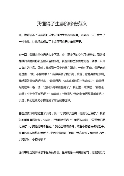 我懂得了生命的珍贵范文