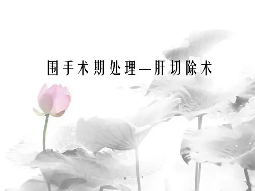 围手术期肝损伤