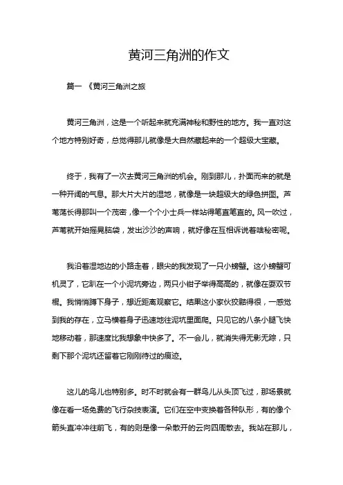 黄河三角洲的作文