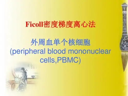 4.PBMC分离