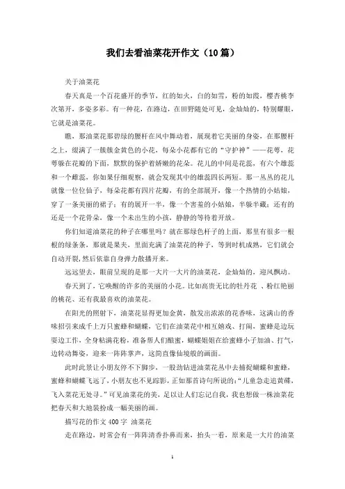 我们去看油菜花开作文(10篇)
