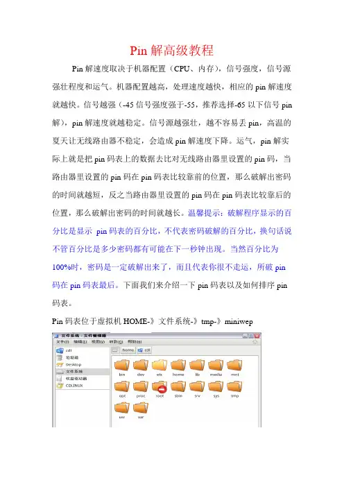 pin解高级教程