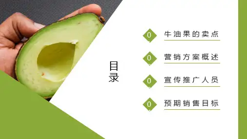 牛油果主题水果营销策划PPT