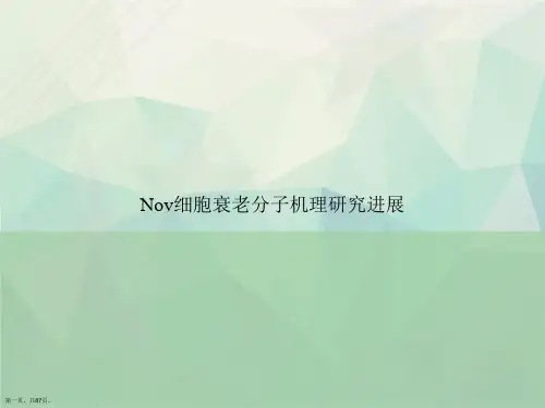 Nov细胞衰老分子机理研究进展讲课文档