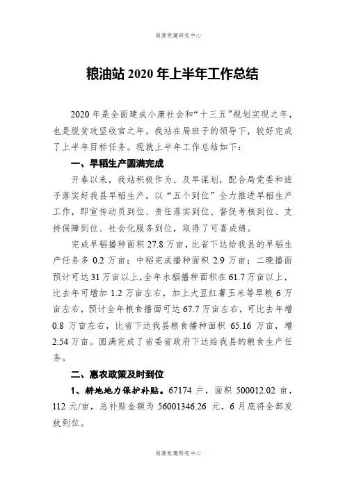 粮油站2020年上半年工作总结