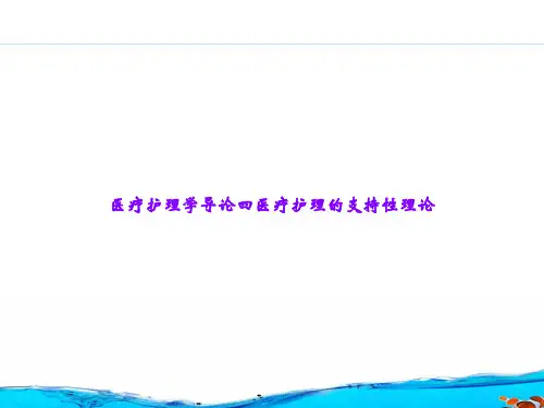 医疗护理学导论四医疗护理的支持性理论