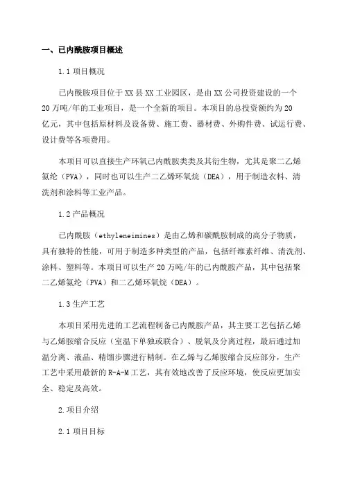 年产20万吨已内酰胺项目规划