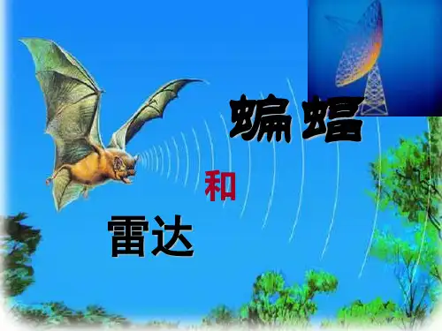 人教版四年级语文下册《蝙蝠和雷达》课件PPT