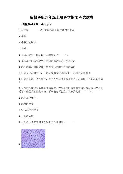新教科版六年级上册科学期末考试试卷及参考答案【基础题】