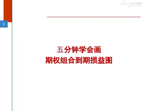 5分钟学会画期权组合损益图