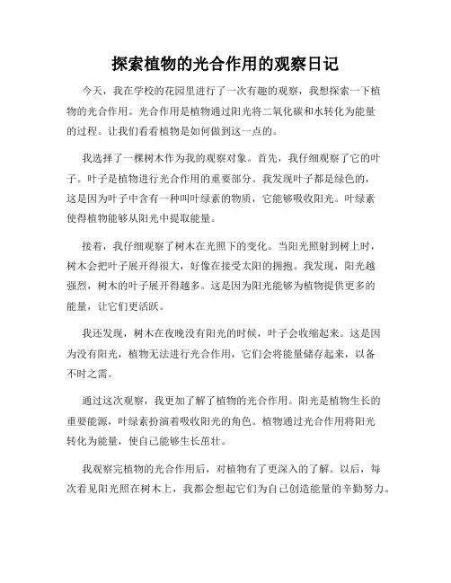 小学三年级作文探索植物的光合作用的观察日记