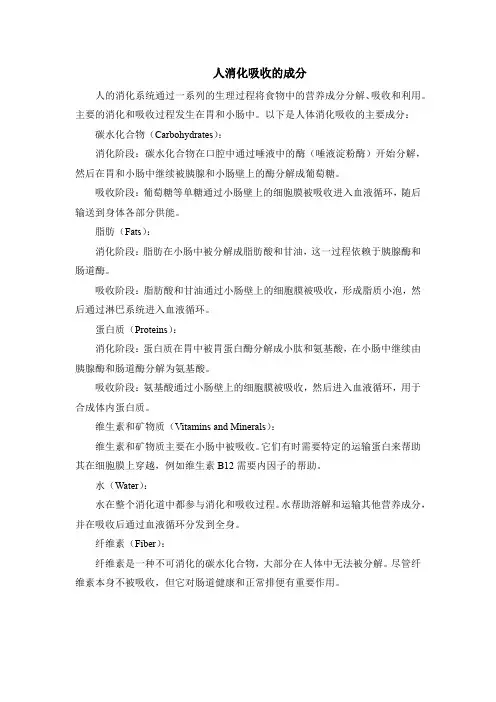人消化吸收的成分