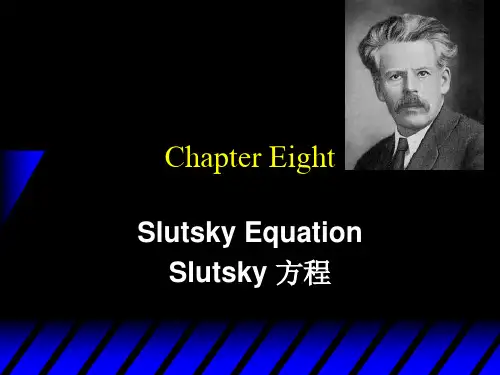 第8章 Slutsky Equation方程