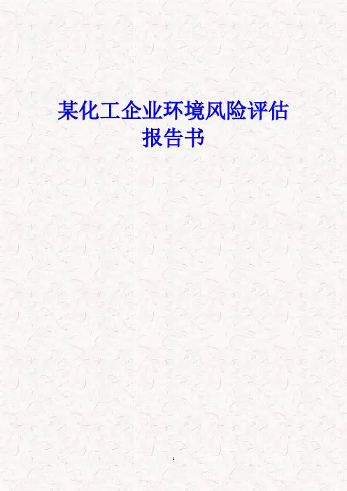 某化工企业环境风险评估报告书(修订版)