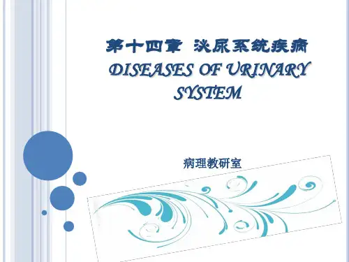 临床医学-病理学-泌尿系统疾病
