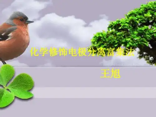 化学修饰电极分离富集法