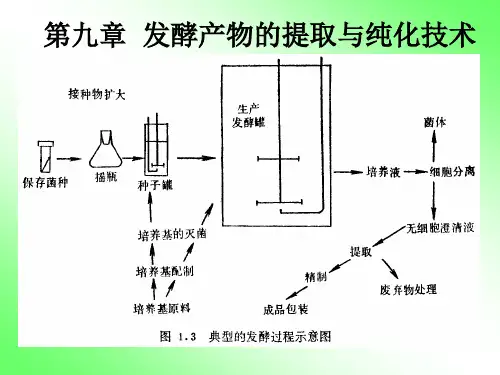9发酵产物的提取与纯化