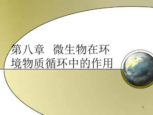 环境微生物学ppt课件