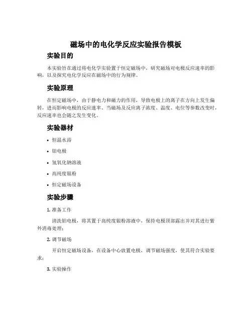 磁场中的电化学反应实验报告模板