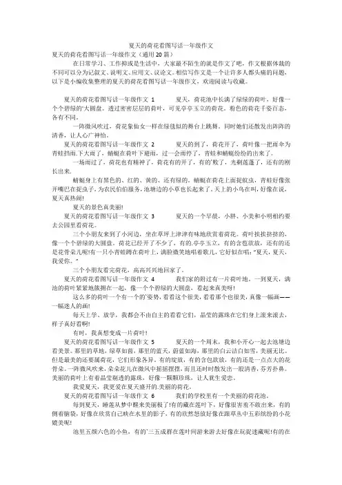 夏天的荷花看图写话一年级作文
