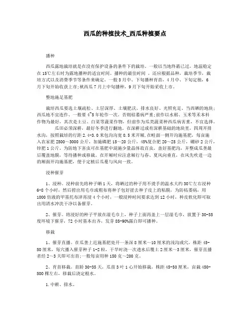 西瓜的种植技术_西瓜种植要点