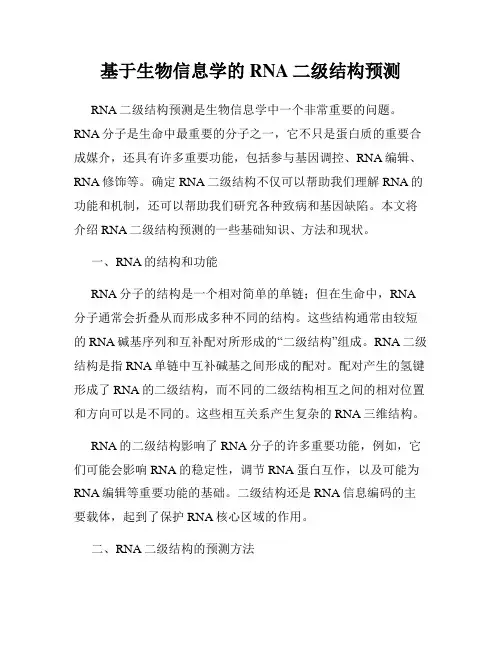 基于生物信息学的RNA二级结构预测