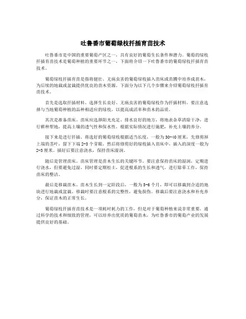 吐鲁番市葡萄绿枝扦插育苗技术