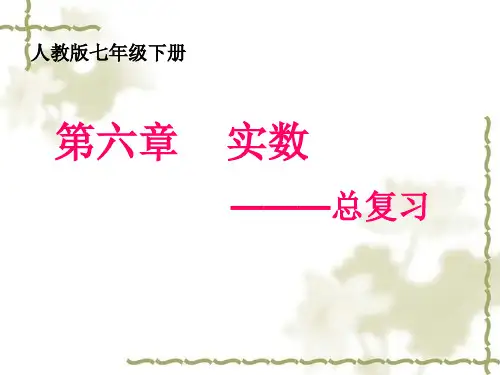 第六章《实数》总复习课件