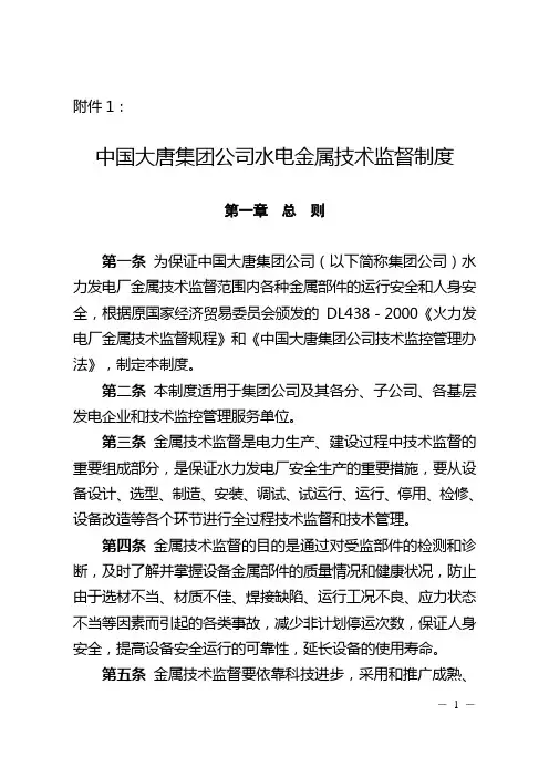中国大唐集团公司水电金属技术监督制度(大唐集团制〔2007〕70号)附件1