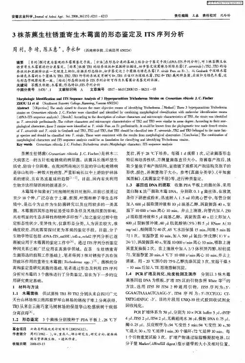 3株茶藨生柱锈重寄生木霉菌的形态鉴定及ITS序列分析