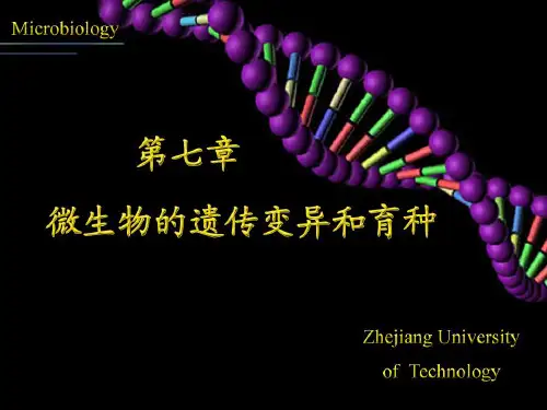 微生物学课件第七章 微生物的遗传变异和育种 第五节 菌种的衰退、复壮和保藏