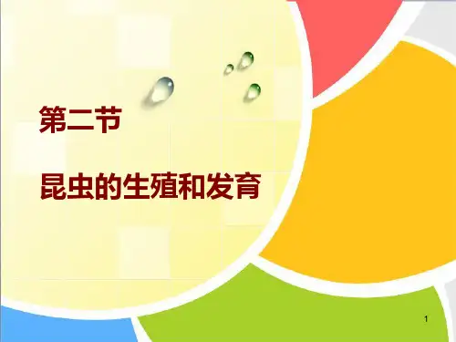 2、昆虫的生殖和发育一等奖课件