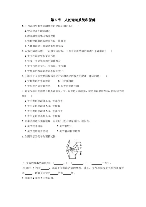 九年级科学下册第3章人的健康第5节人的运动系统和保健作业设计(新版)浙教版