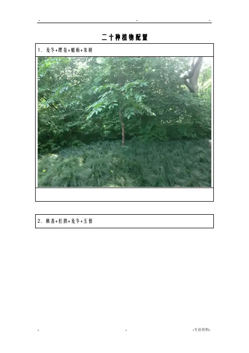 二十种植物配置模式配图片