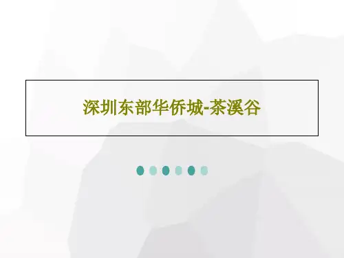 深圳东部华侨城-茶溪谷共24页PPT