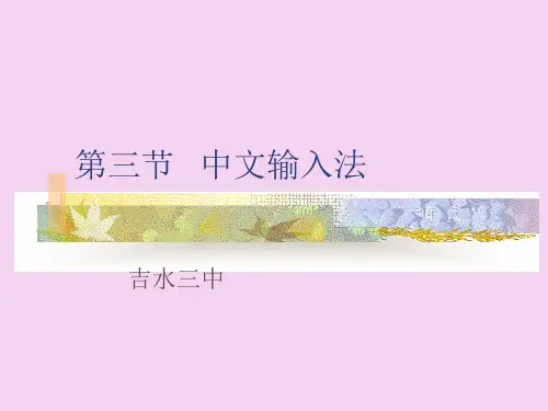 《中文输入法》ppt课件