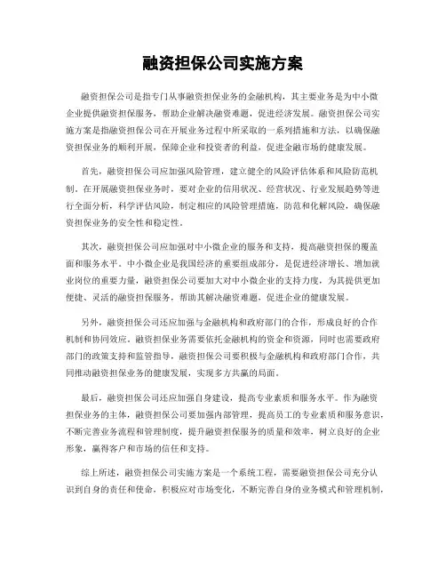 融资担保公司实施方案