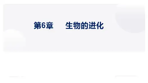 第6章生物的进化(复习课件)高一生物下学期期中期末考点大串讲(人教版2019必修2)